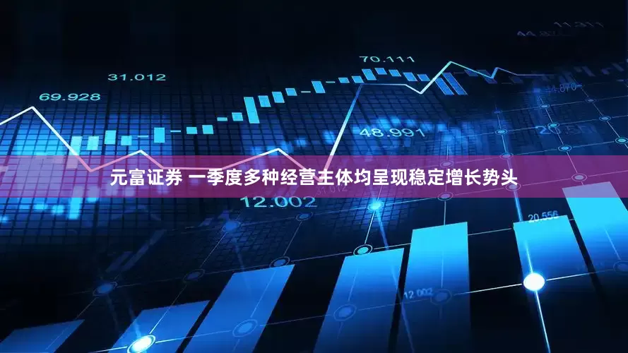元富证券 一季度多种经营主体均呈现稳定增长势头