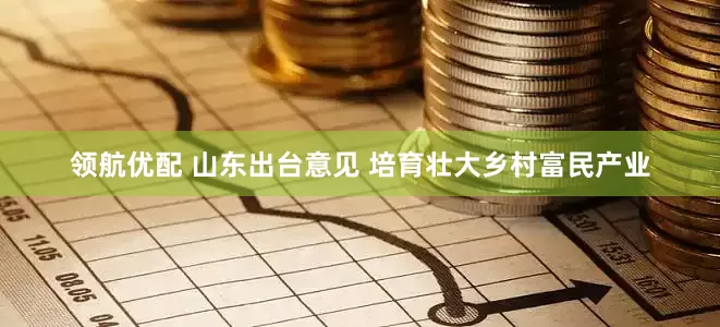 领航优配 山东出台意见 培育壮大乡村富民产业